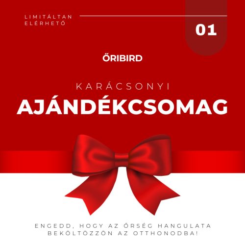 KARÁCSONYI CSOMAG 01 (pohár + táska)